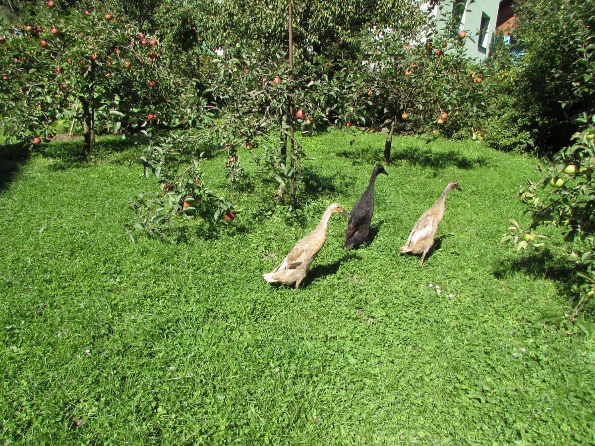 Dum U Rybnika Villa Nydek Dış mekan fotoğraf